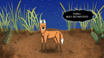 Objawienie. Mąż-ojciec-solidarnosciowiec-katecheta-samorządo