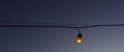 Księża profesorowie, teologowie, duszpasterze i pedofile